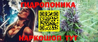 мяу мяу мука Нарткала
