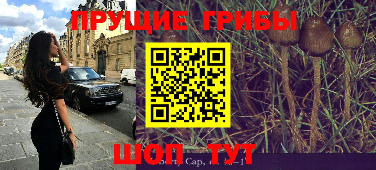 Сатка  Псилоцибиновые грибы мицелий  Вход с VPN 